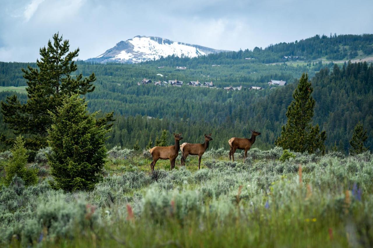 Castle In The Sky Unit X Villa West Yellowstone Buitenkant foto